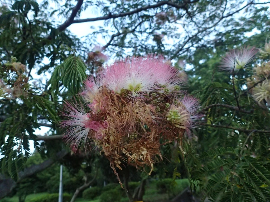 1-03-P8100347mh.jpg