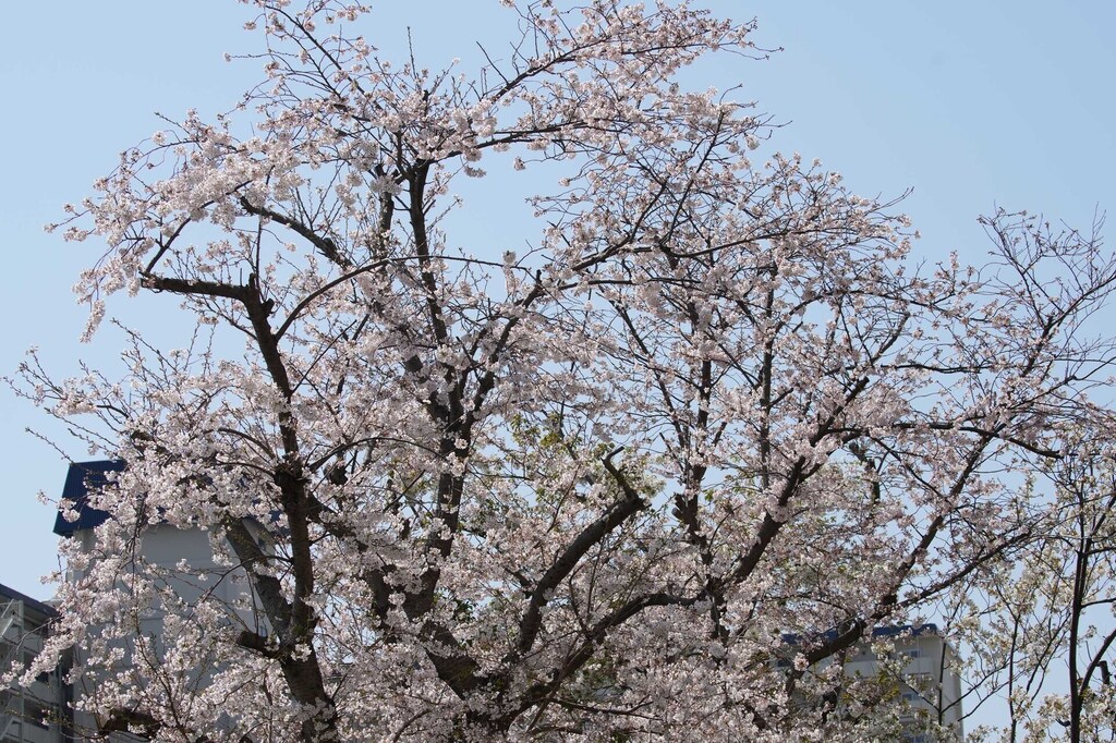 1-04-DSC03958mh.jpg