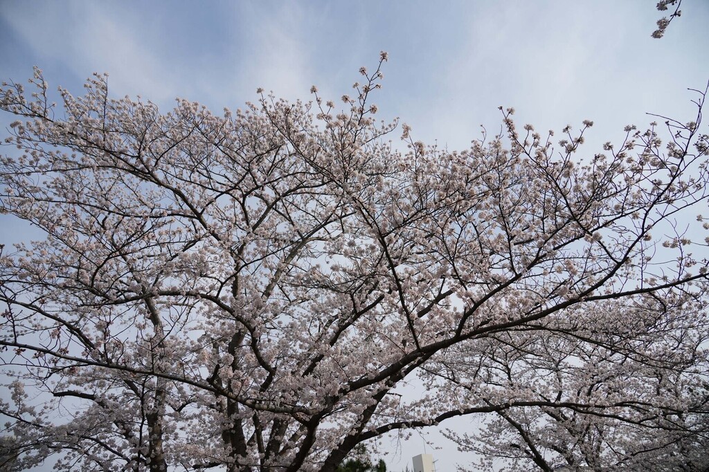 1-05-DSC02271mh.jpg