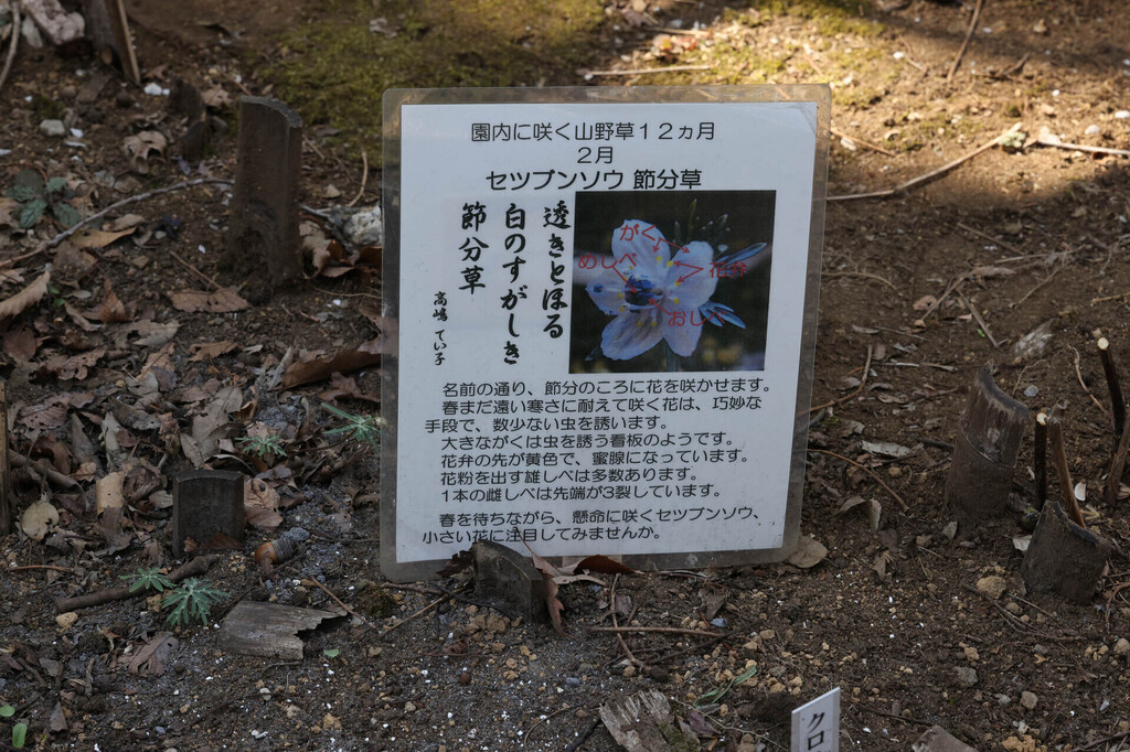 2-04-1I2A2918mh.jpg
