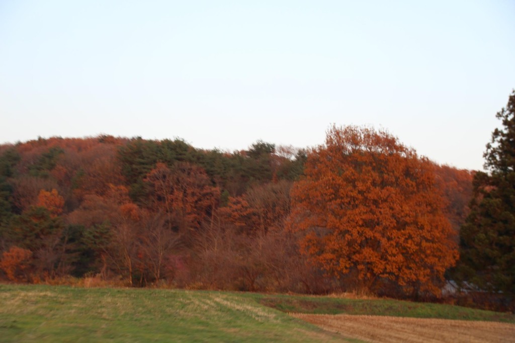 29-15-IMG_9942mh.jpg